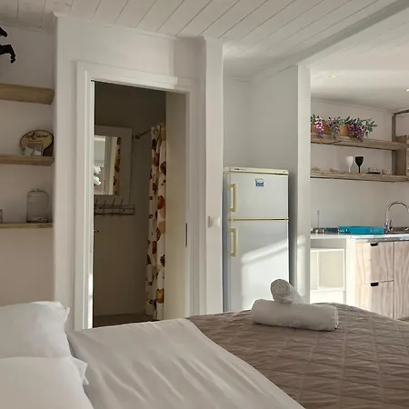 Mykonos Seaview Nests - Getaways شقة تورلوس