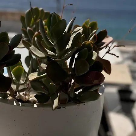 Mykonos Seaview Nests - Getaways *