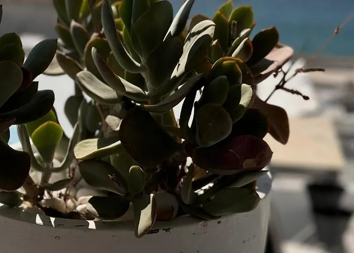 Mykonos Seaview Nests - Getaways *